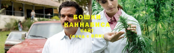 ГАЛЛЮЦИНОГЕННЫЕ ГРИБЫ Заволжск