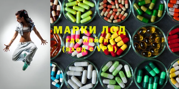 индика Карталы