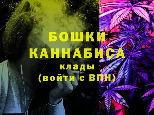 индика Карталы