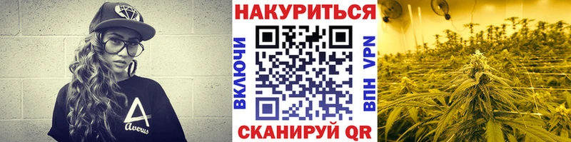 Купить  Каменск-Шахтинский  Каннабис конопля 